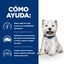 6 kg Hill's Prescription Diet Derm Complete Mini pienso para perros, , large indicador imagen numero 4
